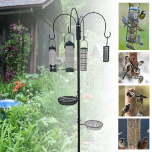 Best Bird Feeding Station